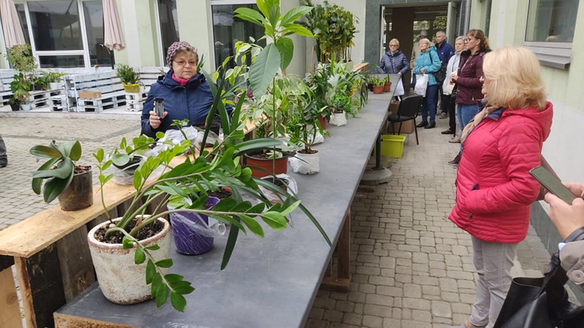 "Adoptuj roślinkę" - zielona wymiana w Centrum Zdrowia Psychicznego