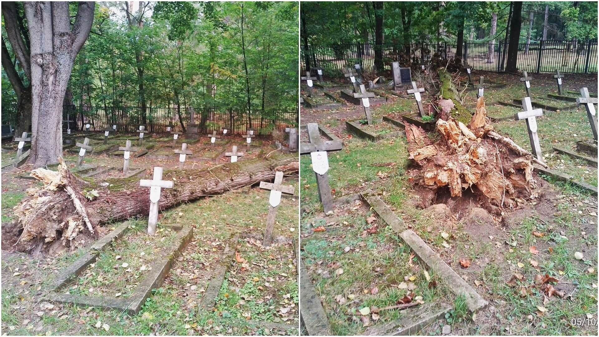 Powalone drzewo zniszczyło nagrobki. Po dwóch miesiącach zostanie uprzątnięte