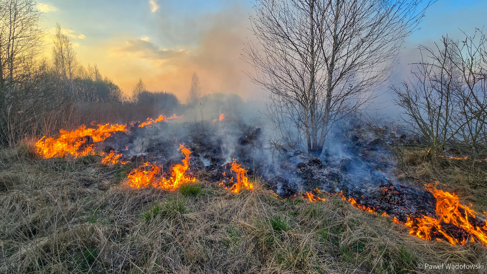Pożar w Biebrzańskim Parku Narodowym. Akcja gaśnicza trwa nadal