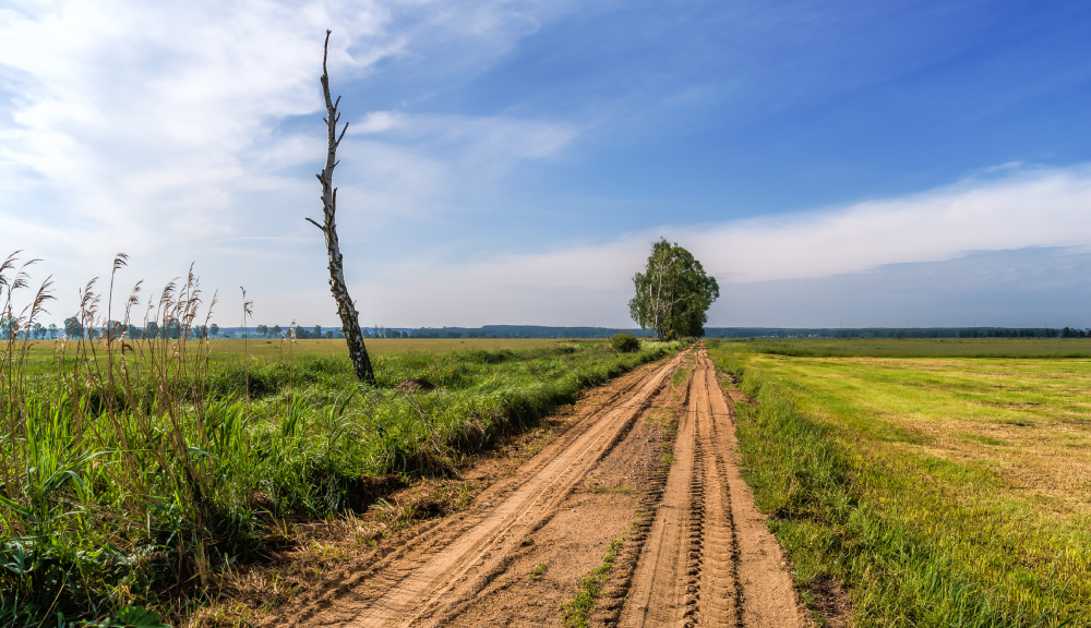 Pod znakiem Pogoni | Jest szansa na budowę chodników we wsi Augustowo 24.02.2021