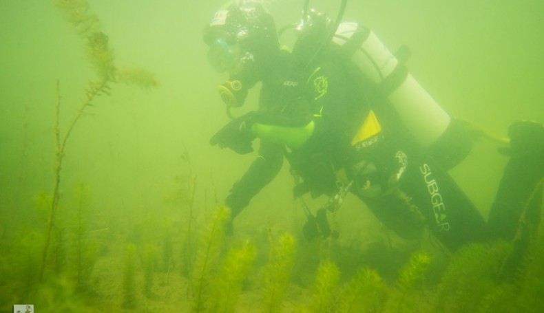 Wigierski Park Narodowy pod wodą - fot. Miłosz i Hubert Stojanowscy