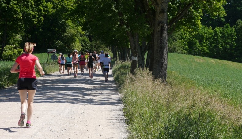 Ok. 40 zawodników biegło ścieżkami Wigierskiego Parku Narodowego, fot. Iza Kosakowska