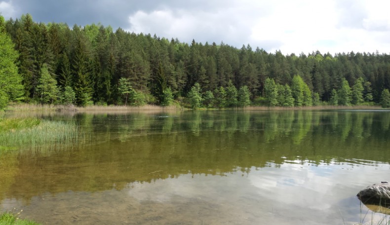 Jezioro Gałęziste w Wigierskim Parku Narodowym, fot. Renata Siepka