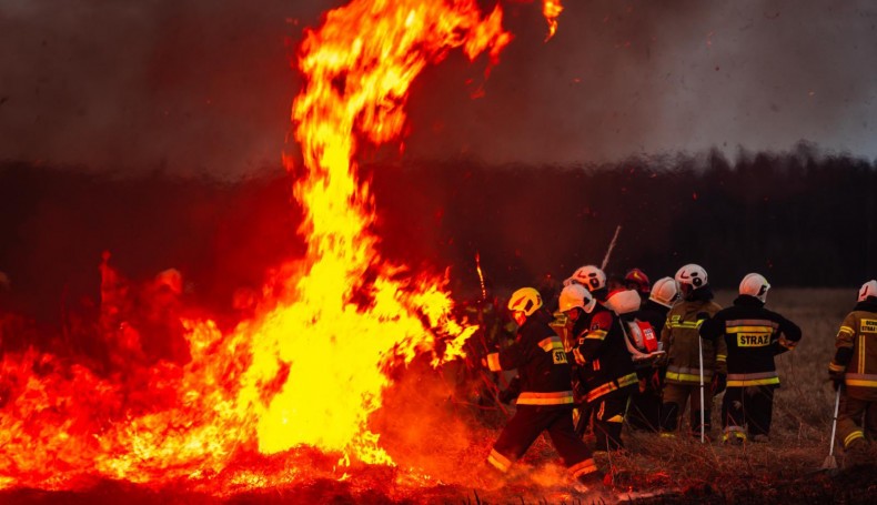 Pożar w Biebrzańskim Parku Narodowym, 30.03.2025, fot. mł. asp. Łukasz Rutkowski/Państwowa Straż Pożarna