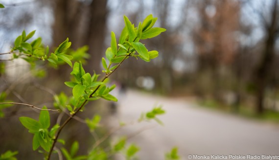 fot. Monika Kalicka