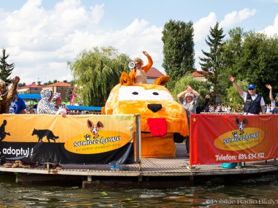 "Psia ferajna", Pływanie na Byle Czym 2016, fot. Joanna Żemojda