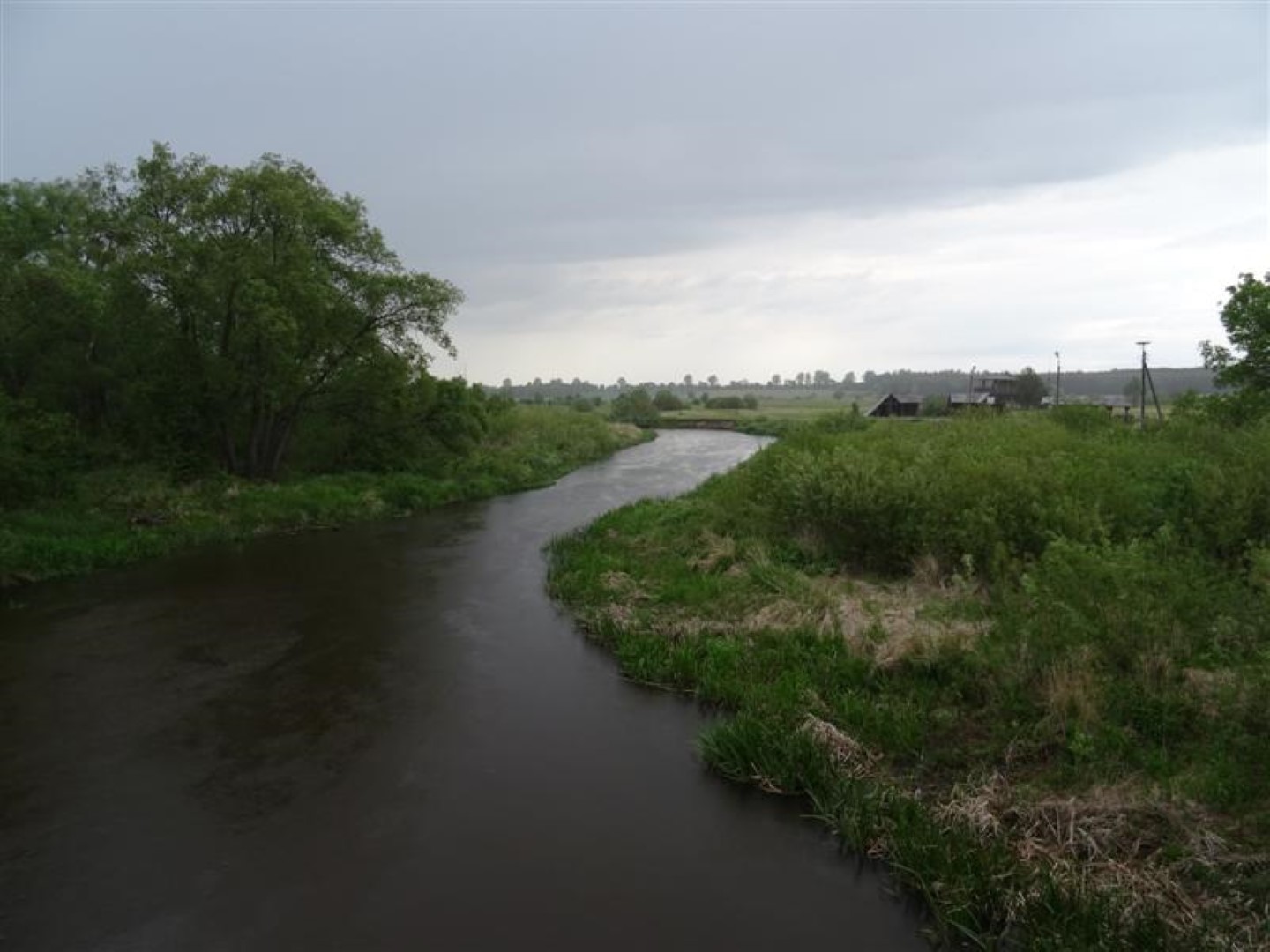 rzeka Narew w Narwi, foto E. Ryżyk