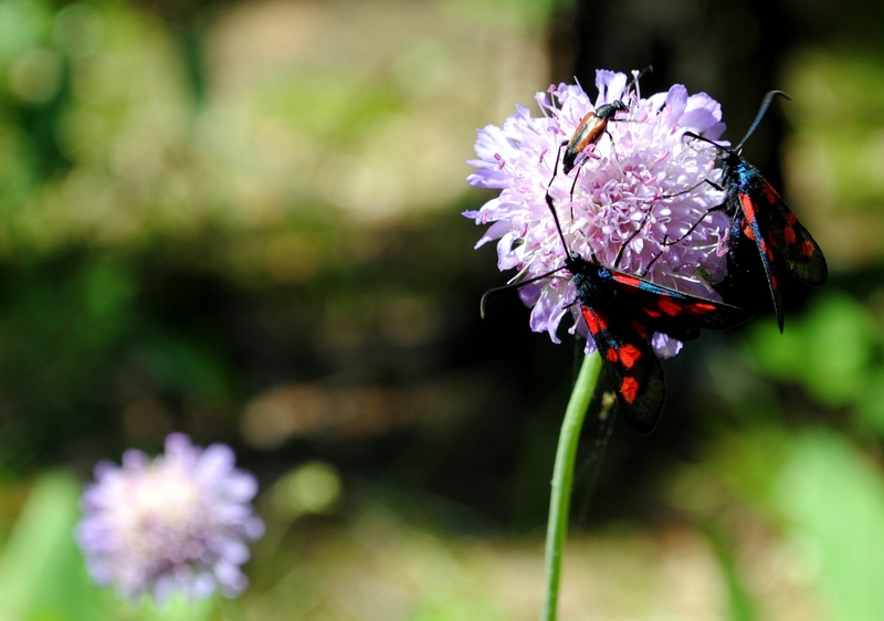 Suwałki:  Rehabilitacja na świeżym powietrzu