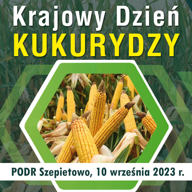 Krajowy Dzień Kukurydzy w Szepietowie