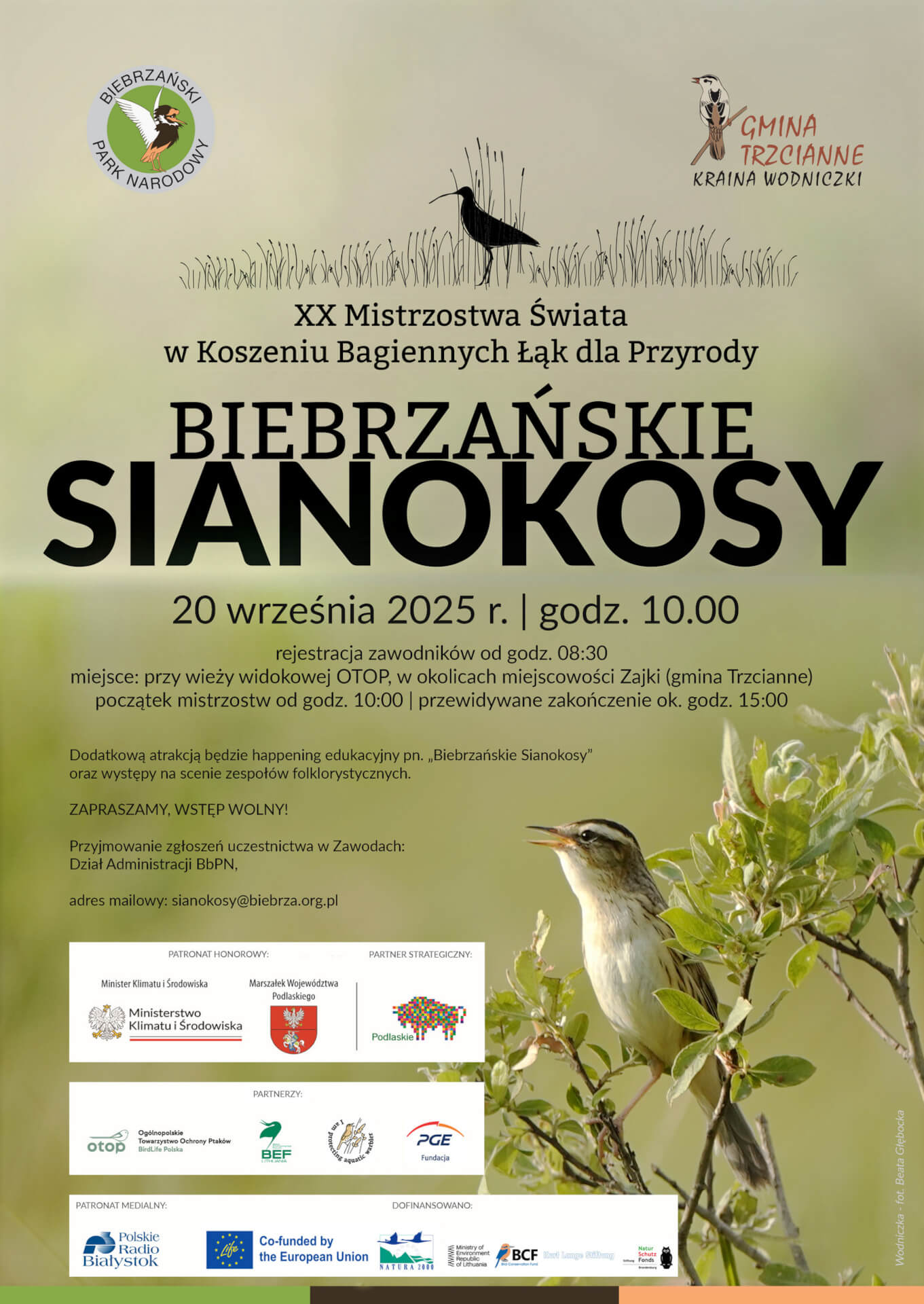źródło: mat. org.