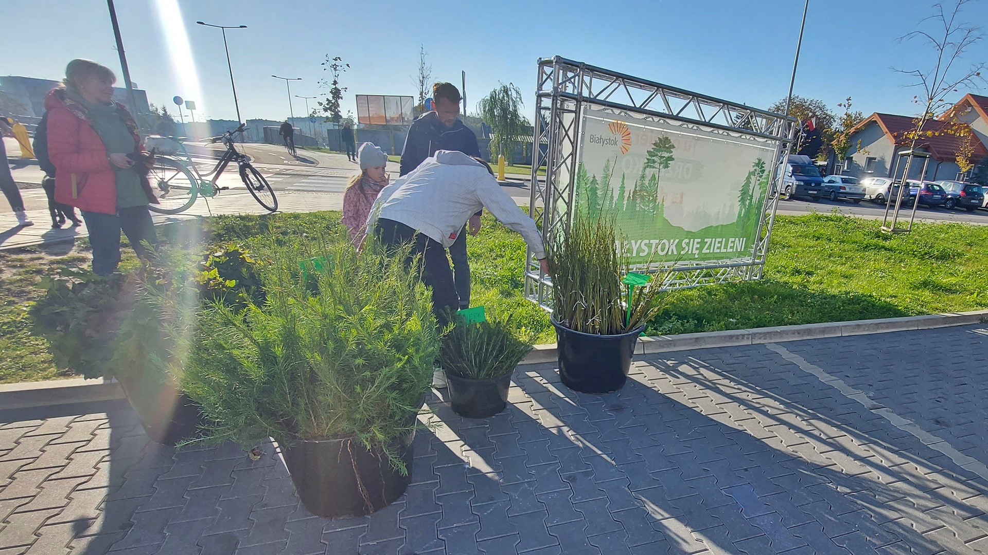 Darmowe sadzonki drzewek dla białostoczan
