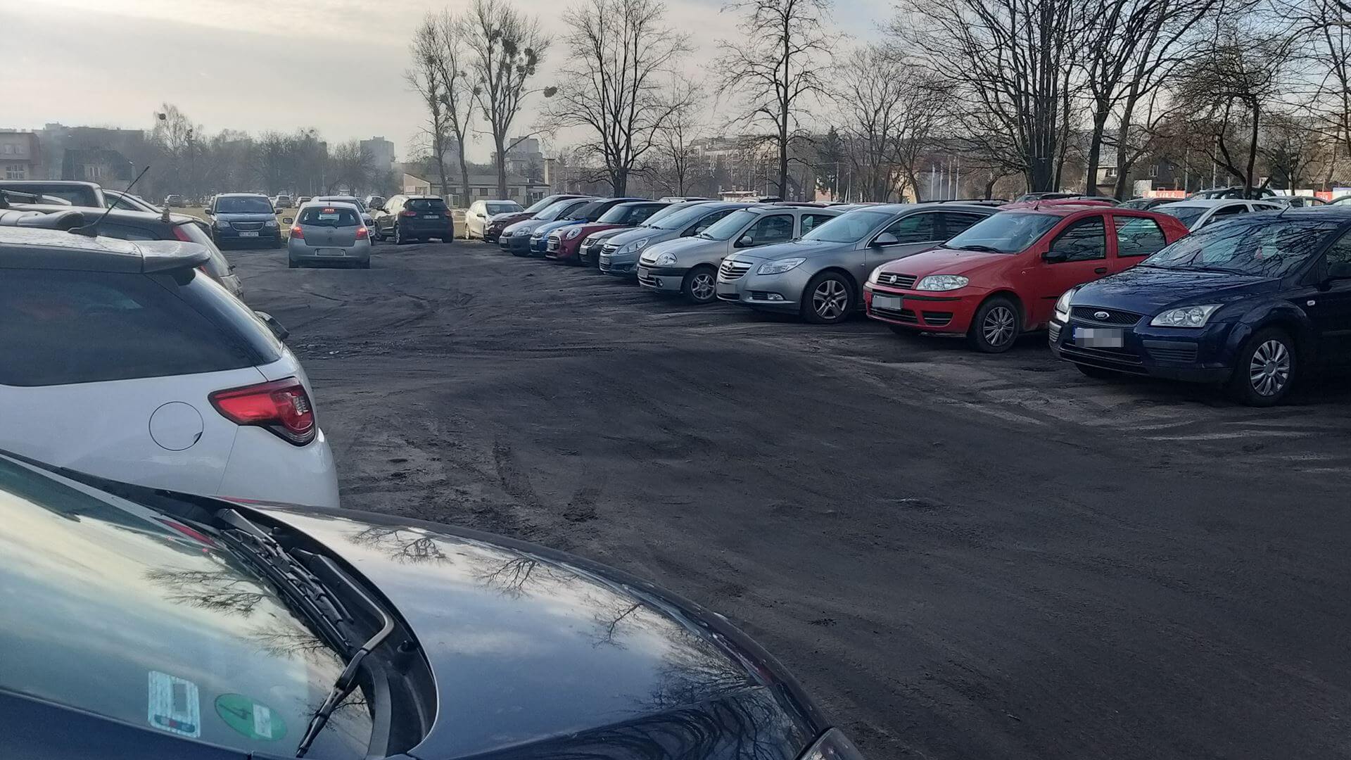 "Dziki" parking pod ZUS-em w Białymstoku, fot. Edyta Wołosik