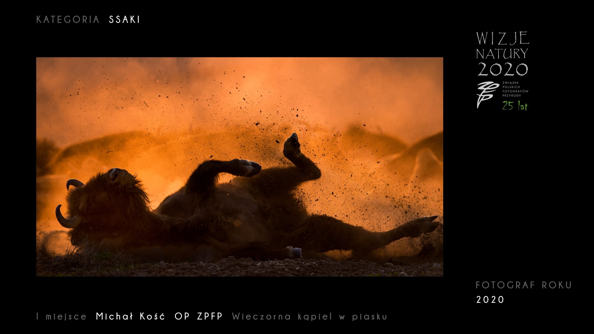 Fotograf Michał Kość z trzema nagrodami na międzynarodowym festiwalu Wizje Natury