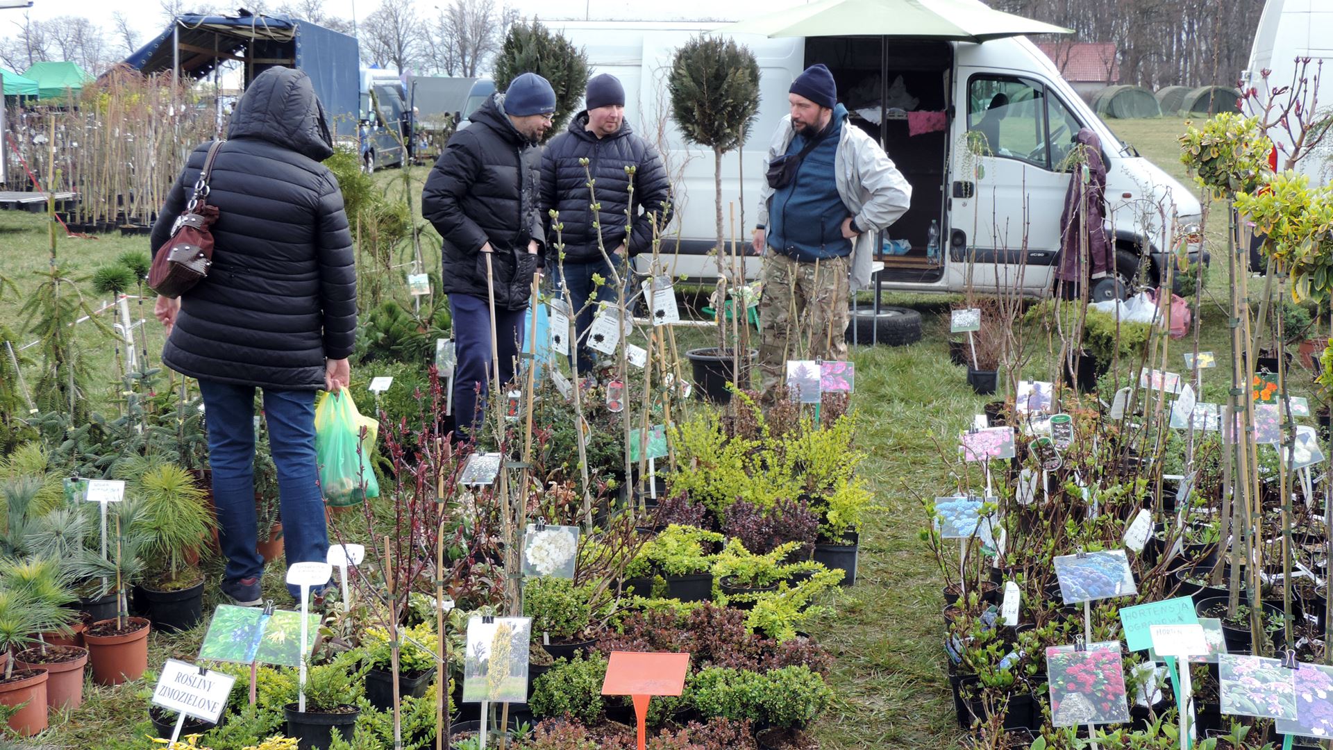 Wracają targi ogrodnicze w Szepietowie [zdjęcia]