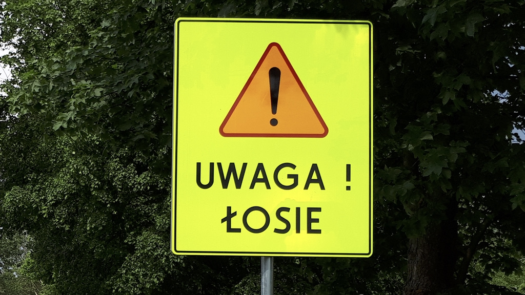 Znak ostrzegający przed łosiami, fot. Ewelina Buczyńska