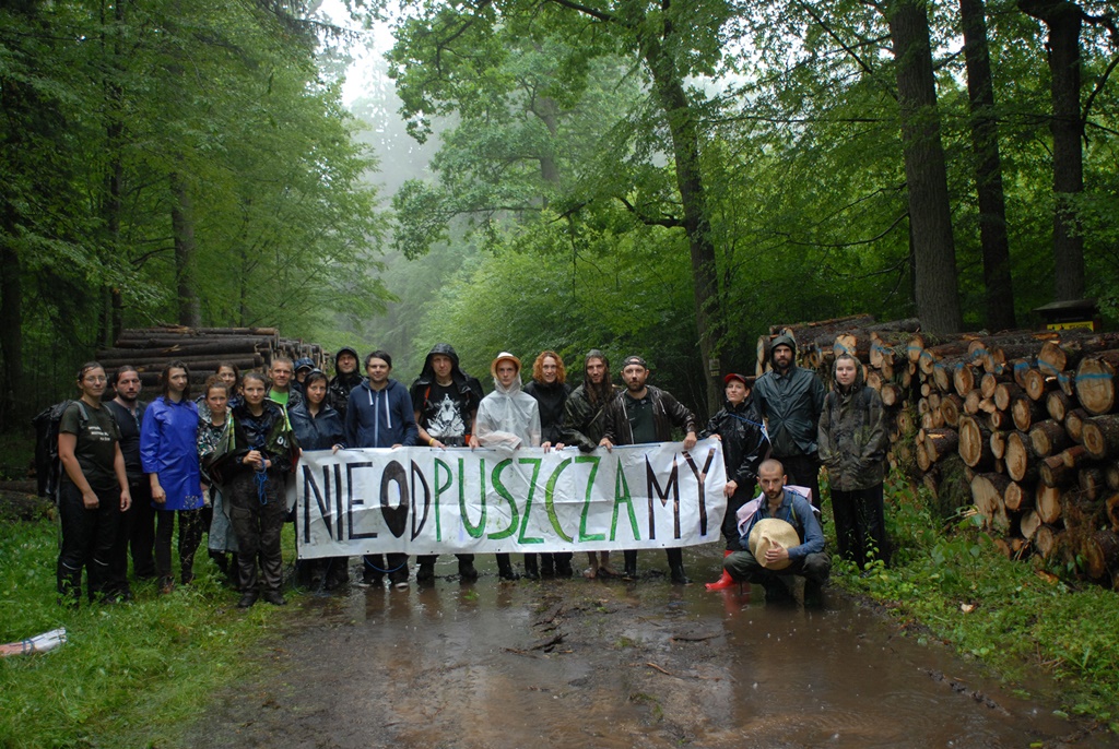 Kolejny protest w obronie Puszczy Białowieskiej, źródło: Fundacja Dzika Polska