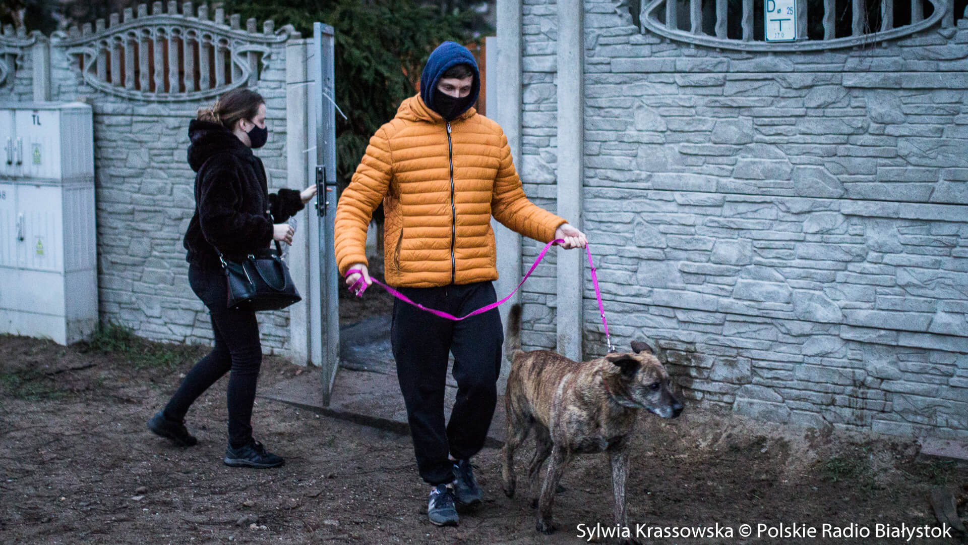 Białostoczanie odpowiedzieli na apel o zabieraniu psów ze schroniska, po pożarze na terenie MPO, fot. Sylwia Krassowska
