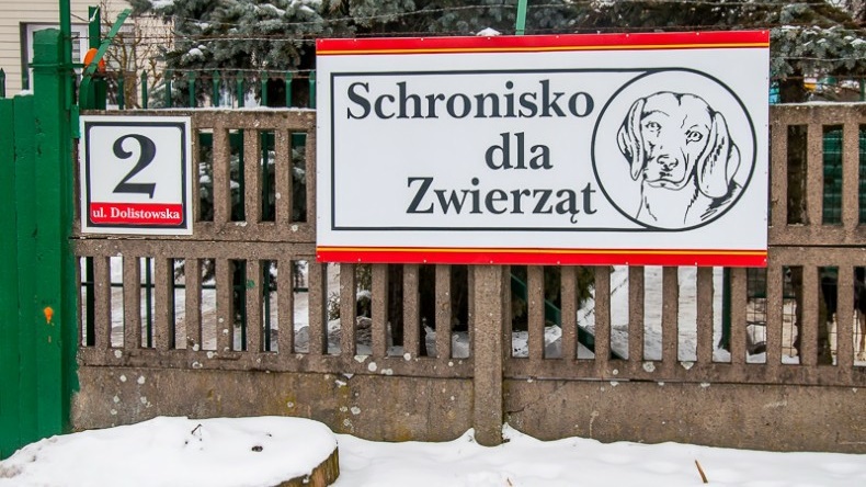 Schronisko dla zwierząt w Białymstoku, 14.01.2017, fot. Wojciech Szubzda