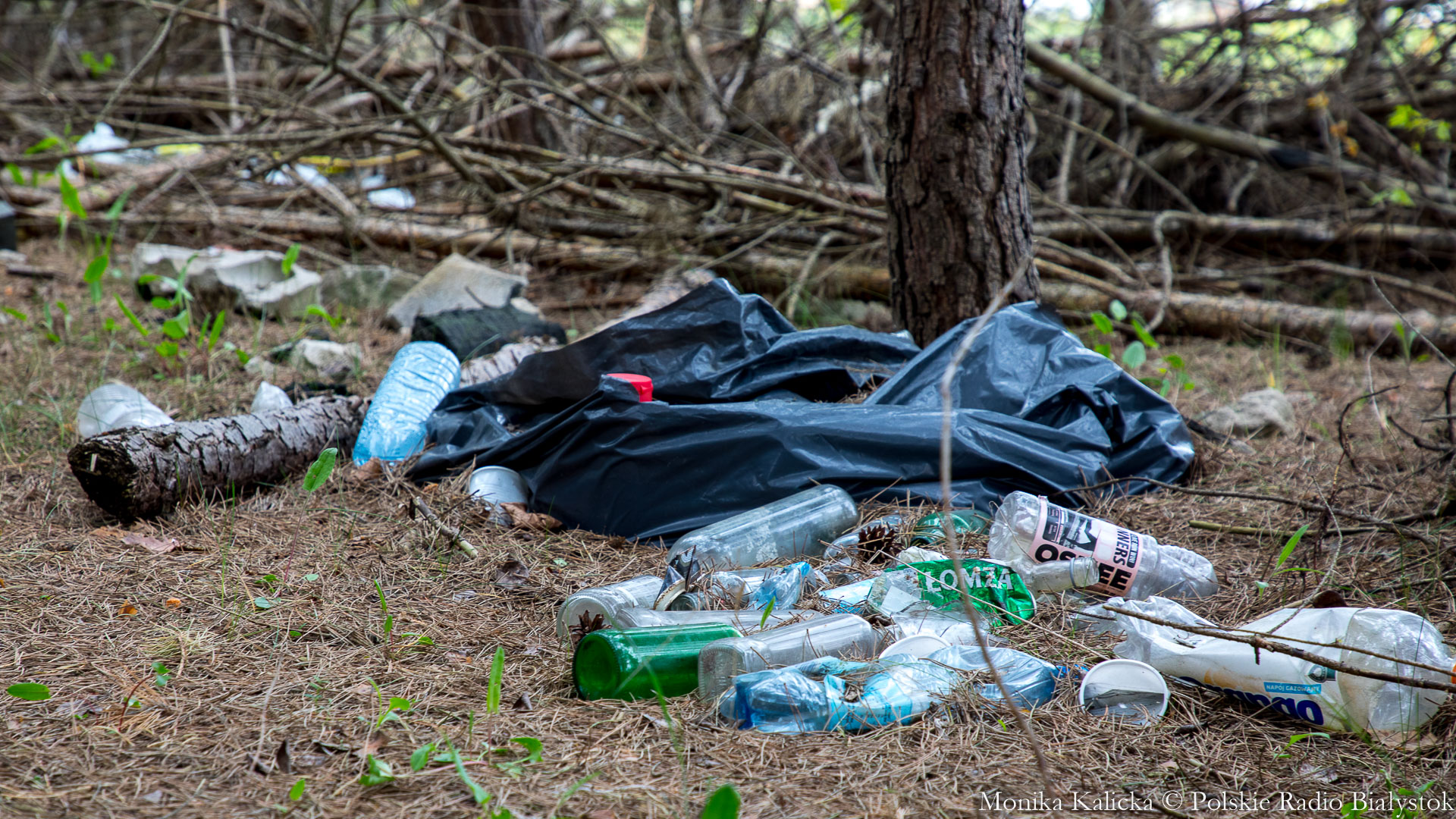 Śmieci w lasach, fot. Monika Kalicka