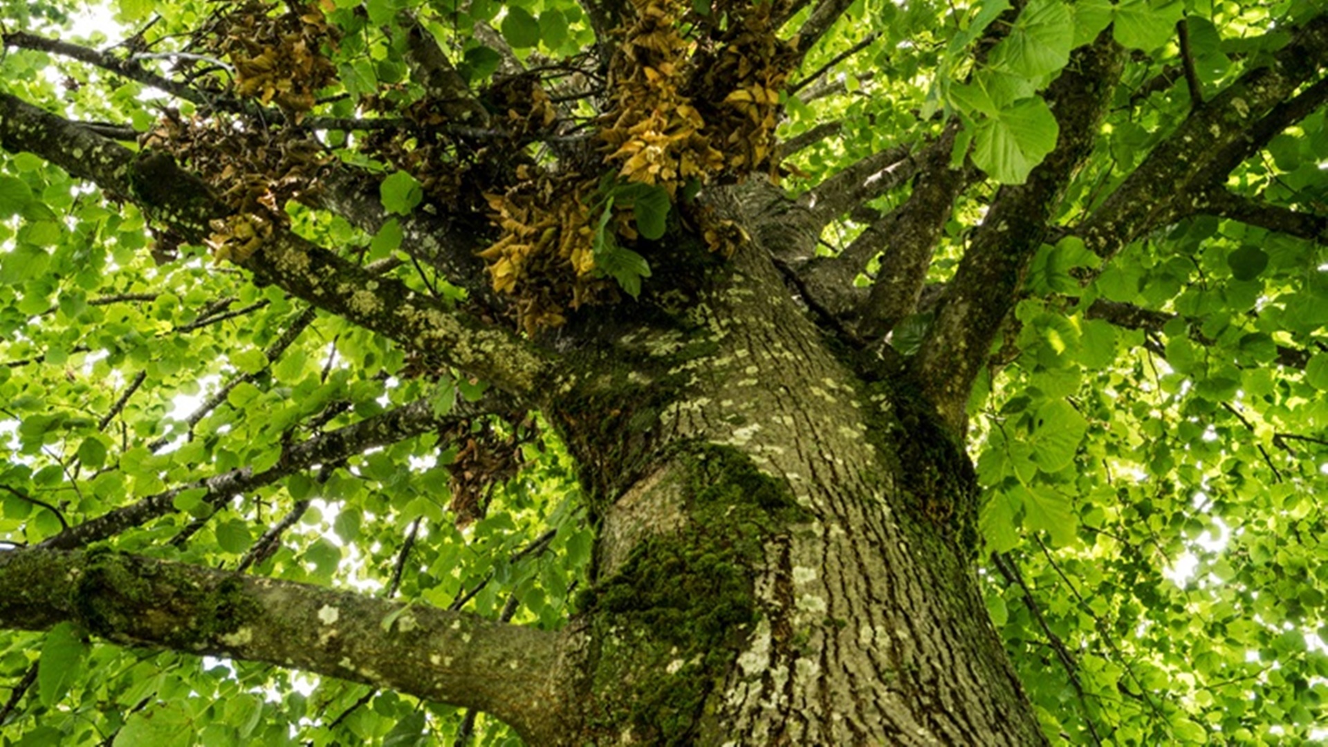 MathiasK, Fotolia.com