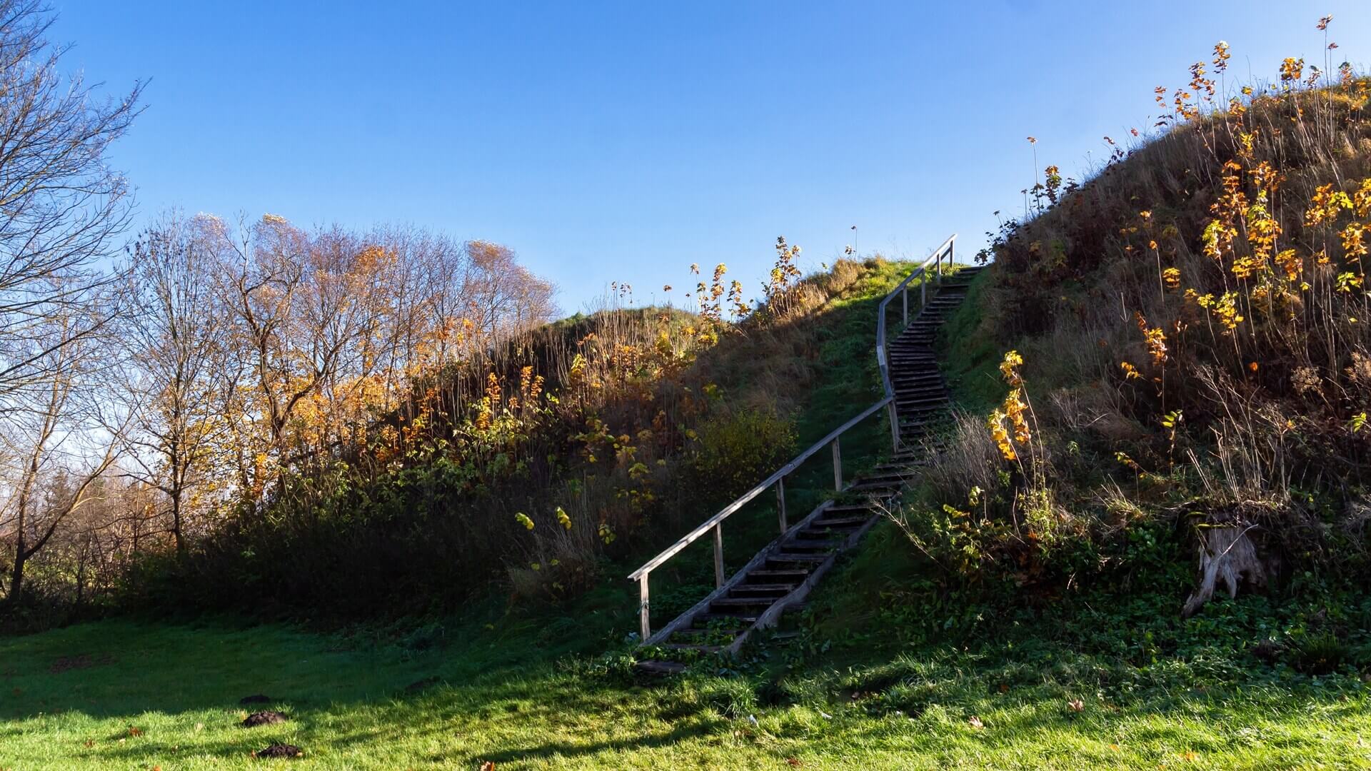 Wały grodu w Surażu, źródło: stock.adobe.com