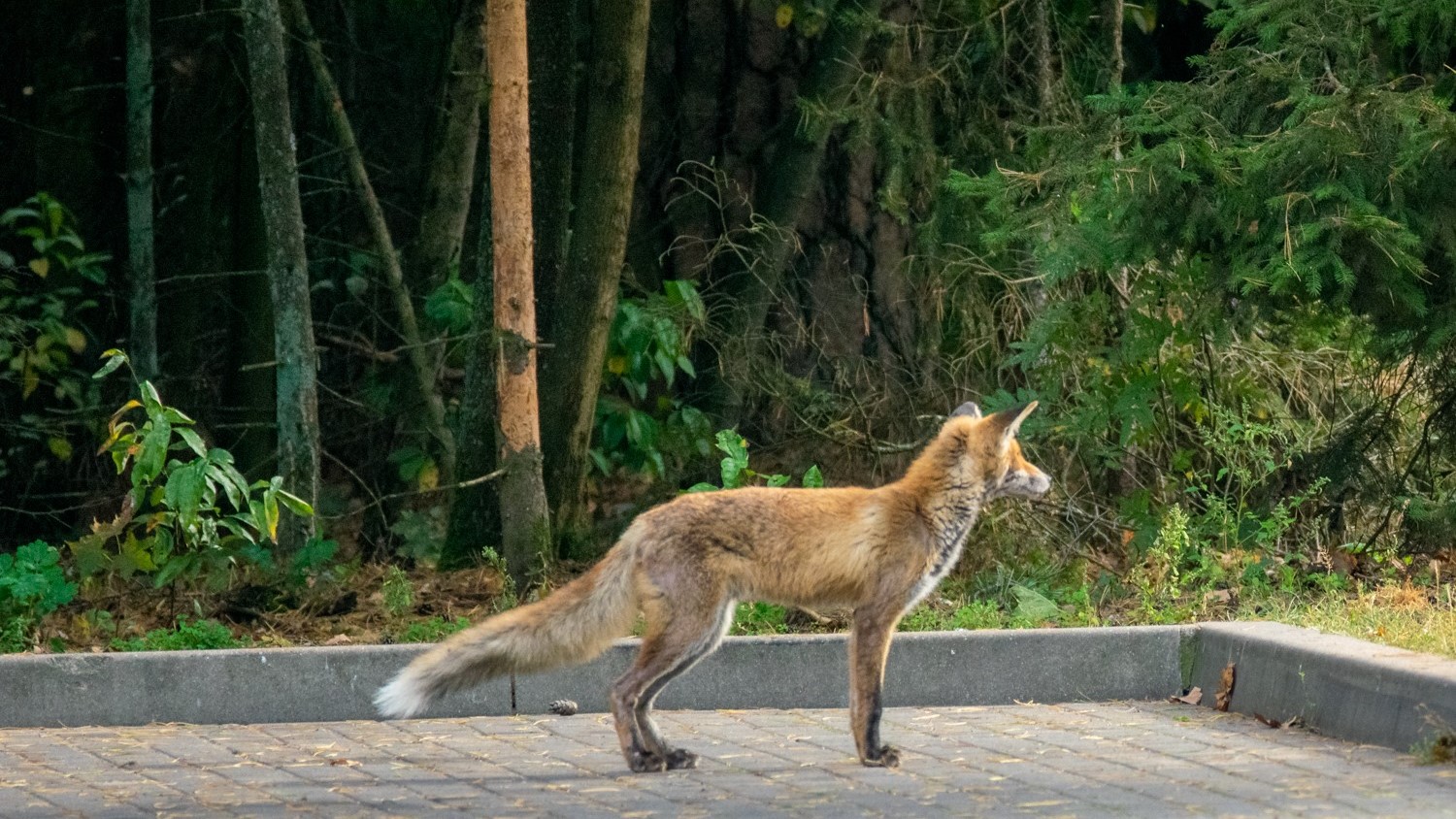 fot. Marta Sołtys