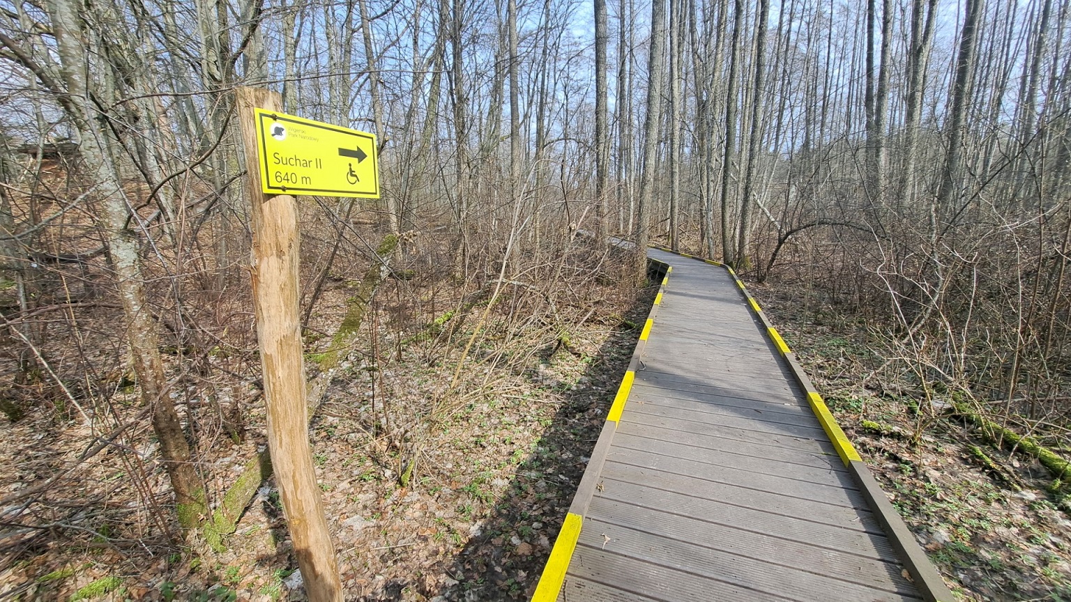 Wigierski Park Narodowy przygotował część swoich ścieżek pod potrzeby osób z niepełnosprawnościami