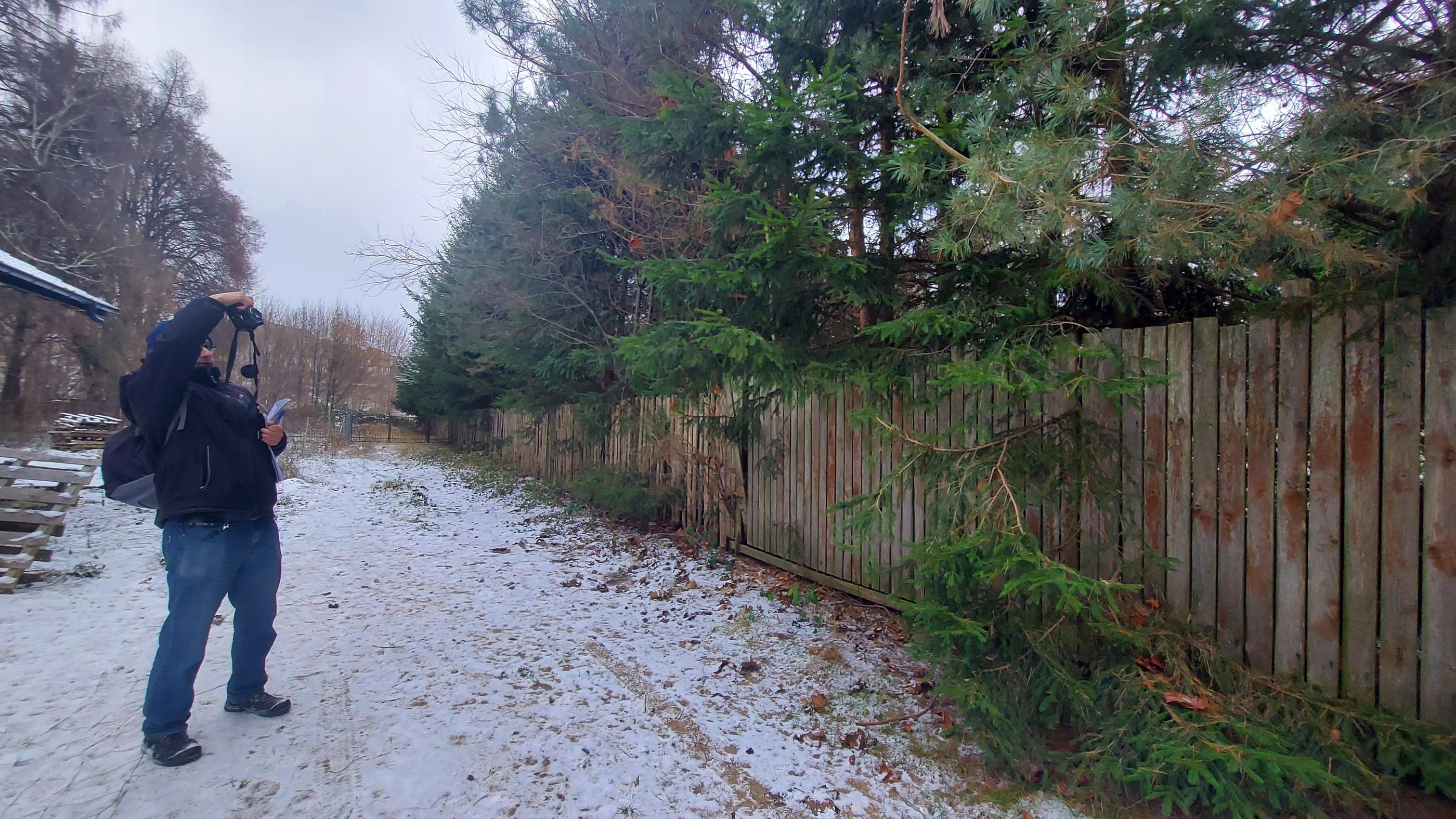 Czy i w jakim stopniu uszkodzone zostały drzewa na jednej z posesji w Suwałkach?