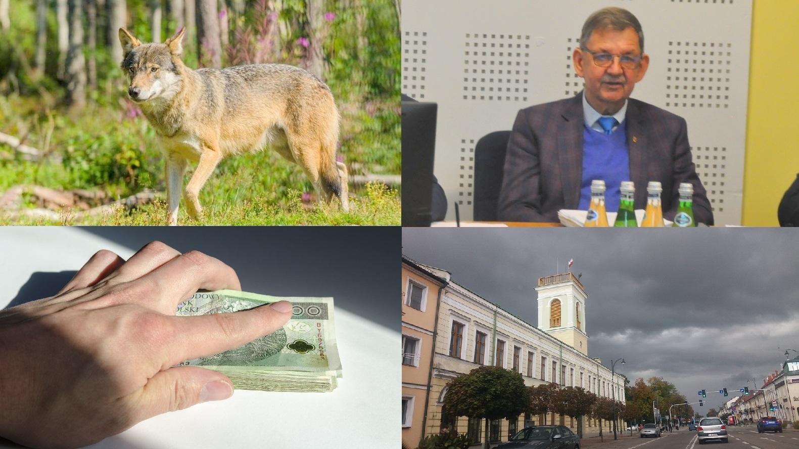 Zdarzyło się w tygodniu - podsumowała Areta Topornicka