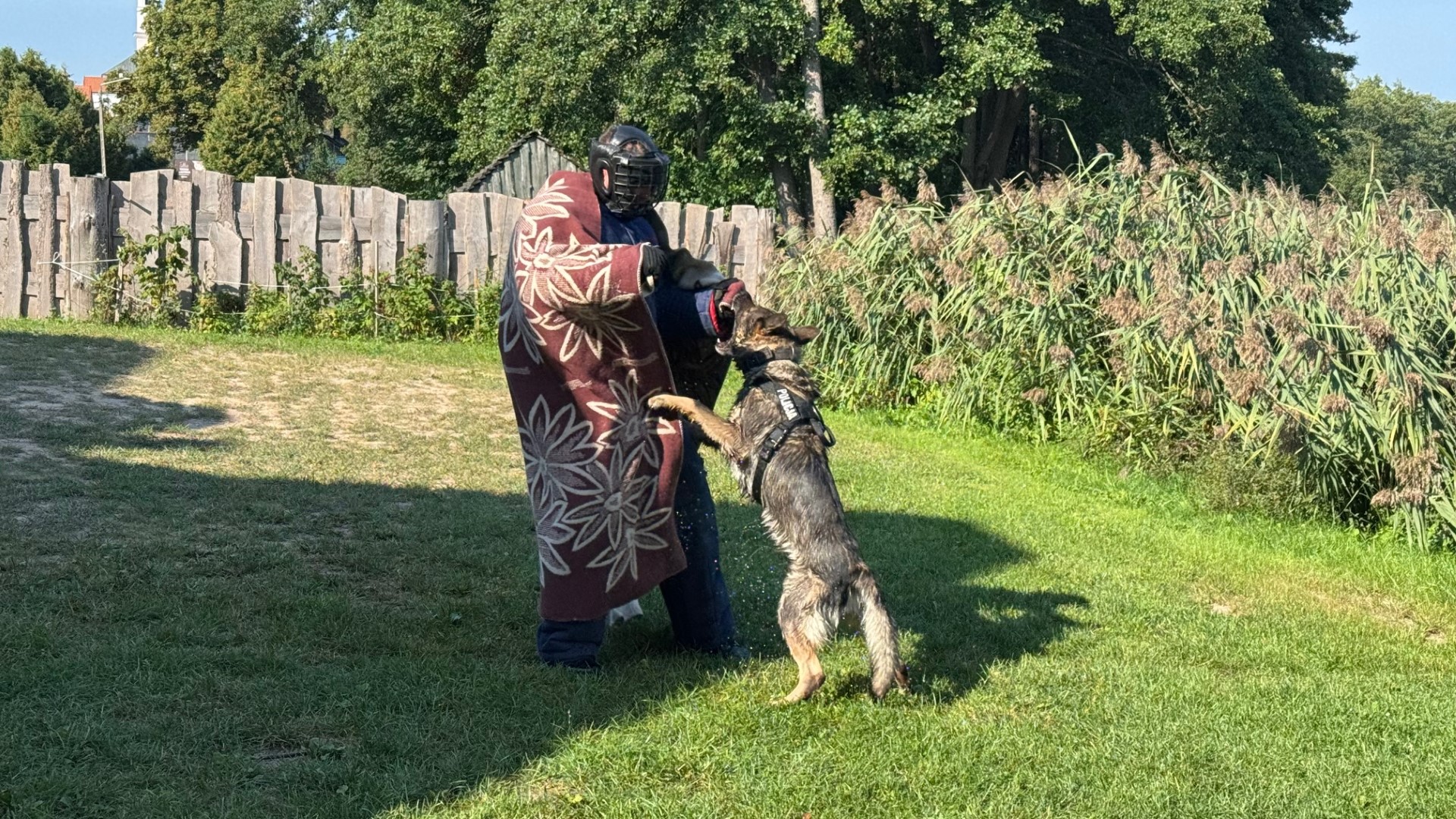 Podlascy przewodnicy psów policyjnych szkolili się w Wigrach