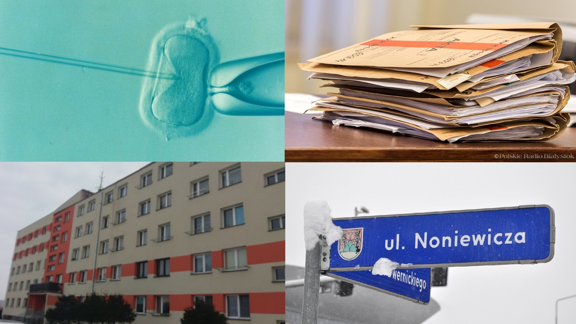 Zdarzyło się w tygodniu - podsumowała Areta Topornicka