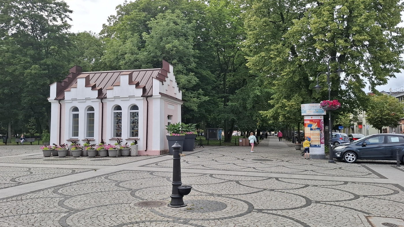 Opieka nad zwierzętami, instalacja wodna i Senior Cafe. Augustowianie wybrali projekty do realizacji