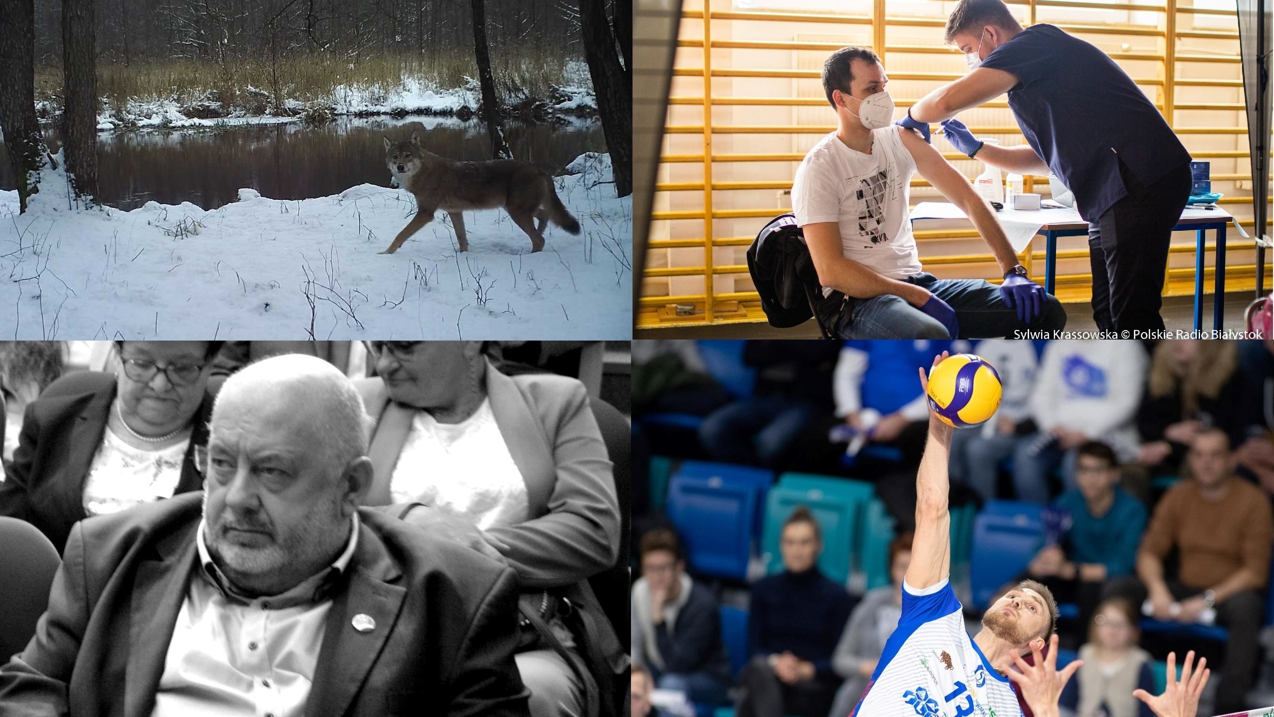 Zdarzyło się w tygodniu - podsumowała Iza Kosakowska