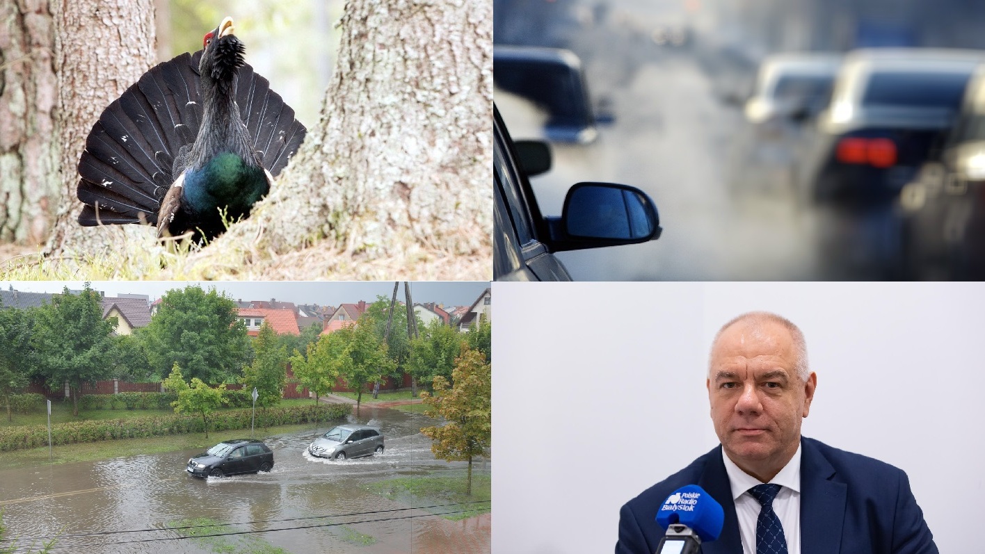 Zdarzyło się w tygodniu - podsumowała Areta Topornicka