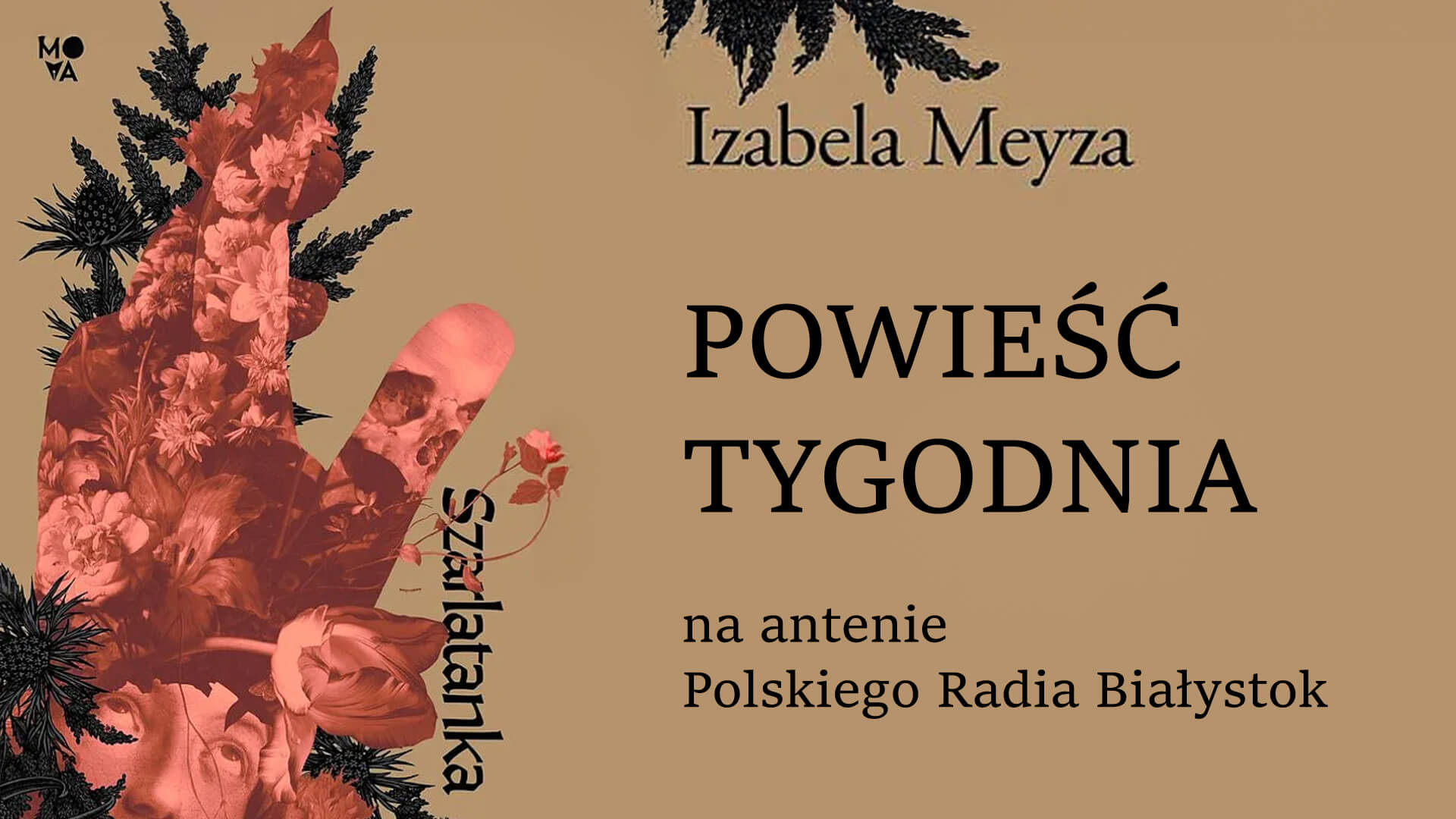 "Szarlatanka" Izabeli Meyzy - zaginiona uzdrowicielka i sekrety małej wsi