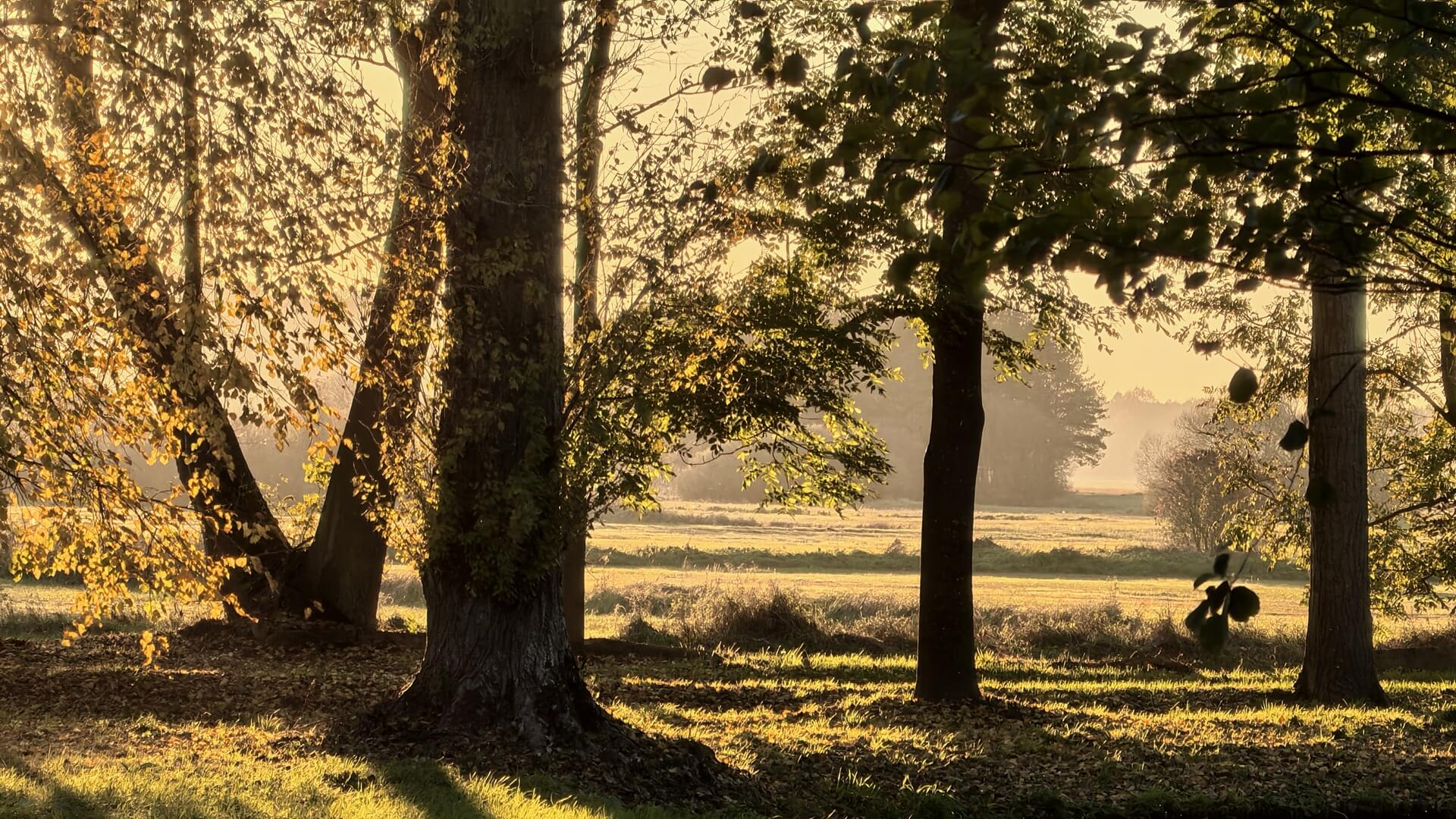 Rozmowa o zielonej scenografii i łączności z naturą