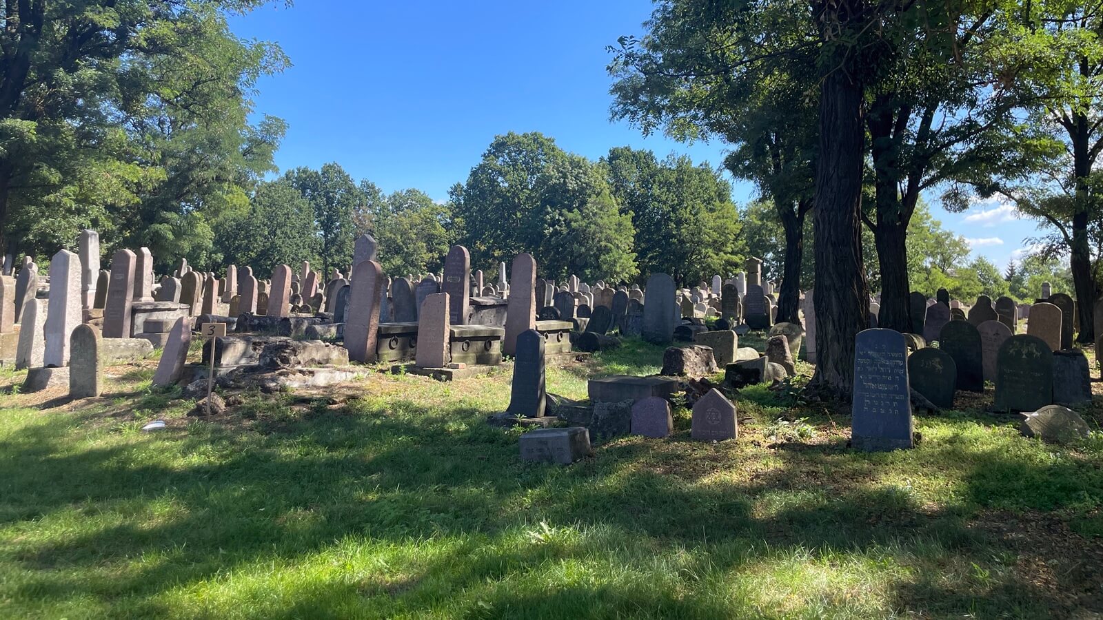 Cmentarz przy ul. Wschodniej w Białymstoku, fot. Krzysztof Józwowicz