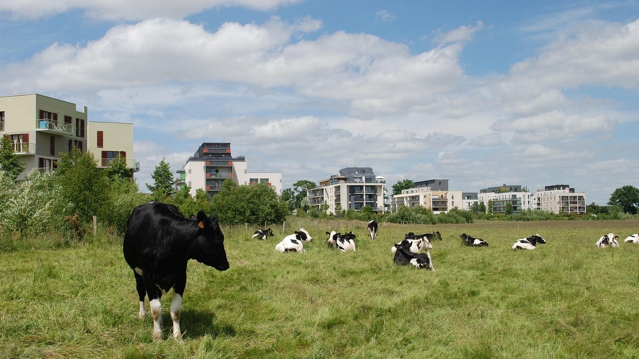 Miasto otacza jego gospodarstwo i pozwala postawić wysoki blok. Rolnik protestuje