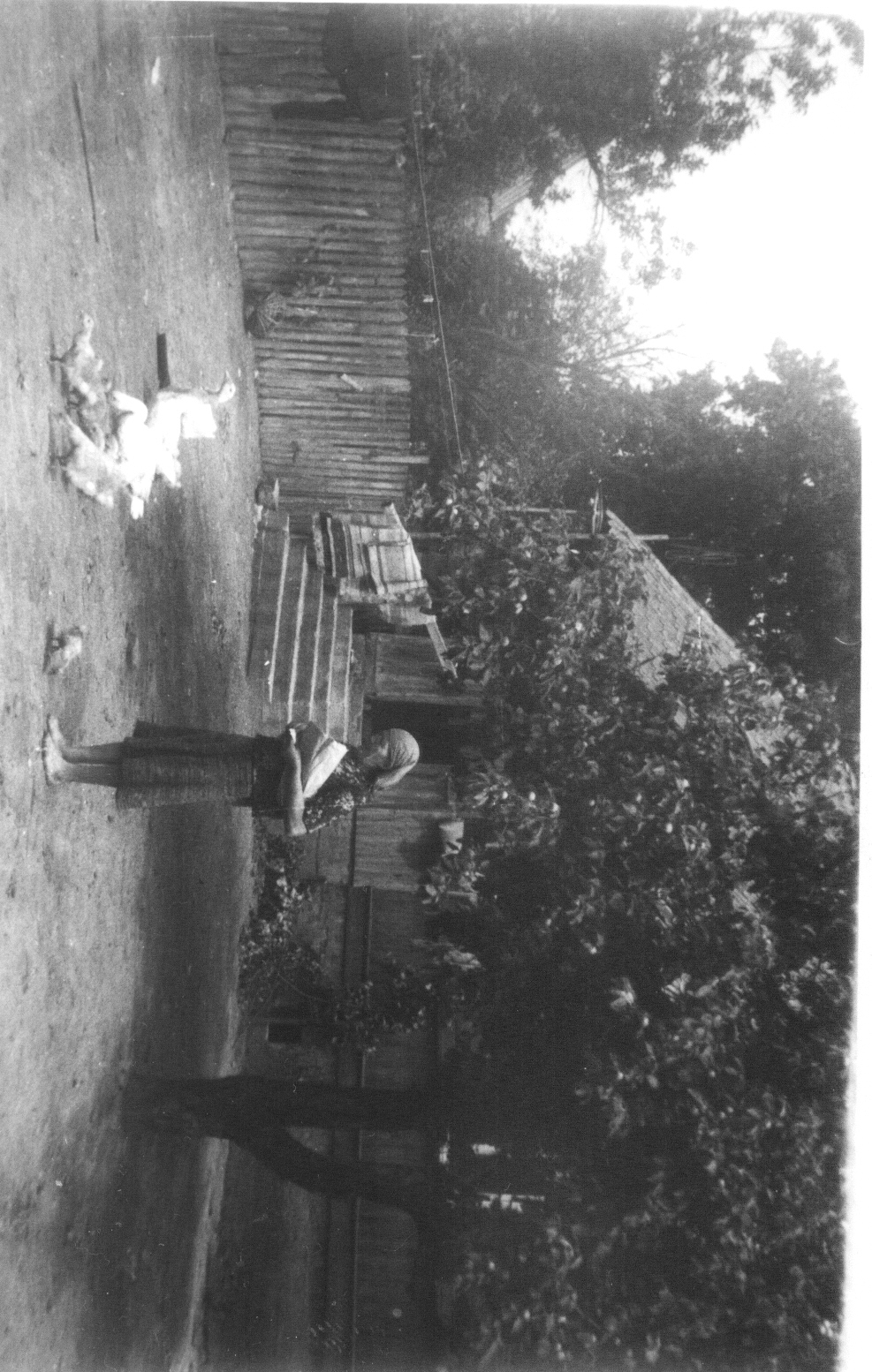 W Nieckach, źródło:  arch. K.Zdrodowska