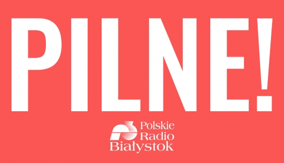 PILNE