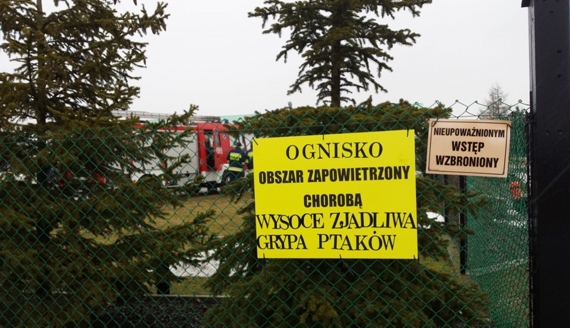 fot. Ryszard Minko