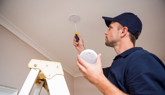 źródło: stock.adobe.com