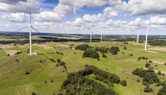 źródło: stock.adobe.com