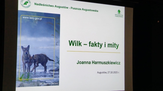 Joanna Jadeszko, Nadleśnictwo Augustów