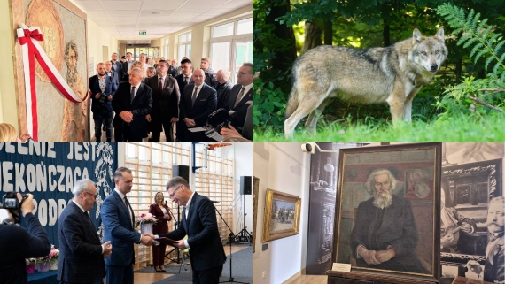 źródło: archiwum