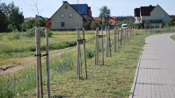 fot. Anna Przybycień