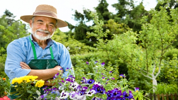 Piękny ogród sposobem na zdrowie. Uprawiaj warzywa i kwiaty dla lepszej kondycji i samopoczucia, foto:https://www.shutterstock.com