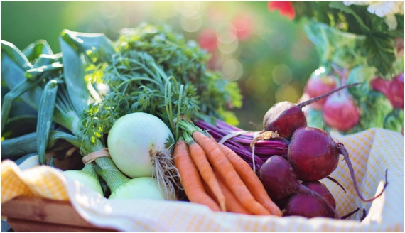 Warzywa są głównym dostawcą witamin w naszej diecie. Jaki wpływ na nasz organizm mają najzdrowsze warzywa?