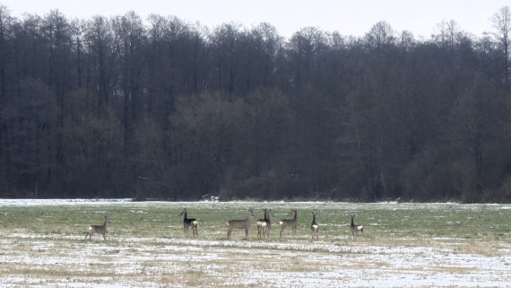 Wyprawa do Parku Krajobrazowego Doliny Narwi