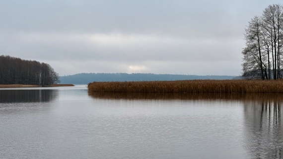 Jezioro Wigry, fot. Anna Auron Wasilewska